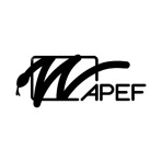 APEF – Associação Portuguesa de Estudantes de Farmácia